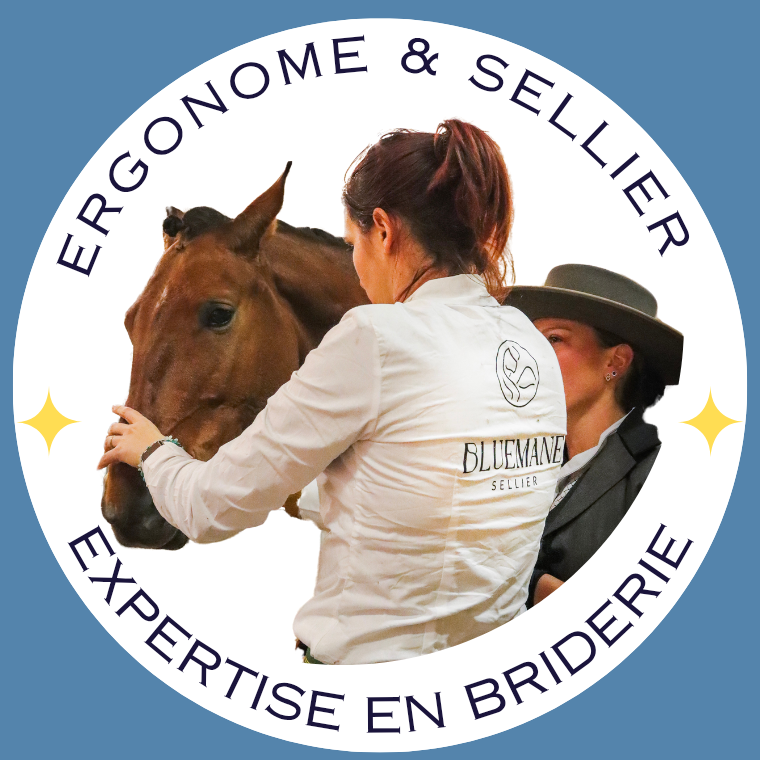 Séance d&#39;ergonomie sur place + équipement