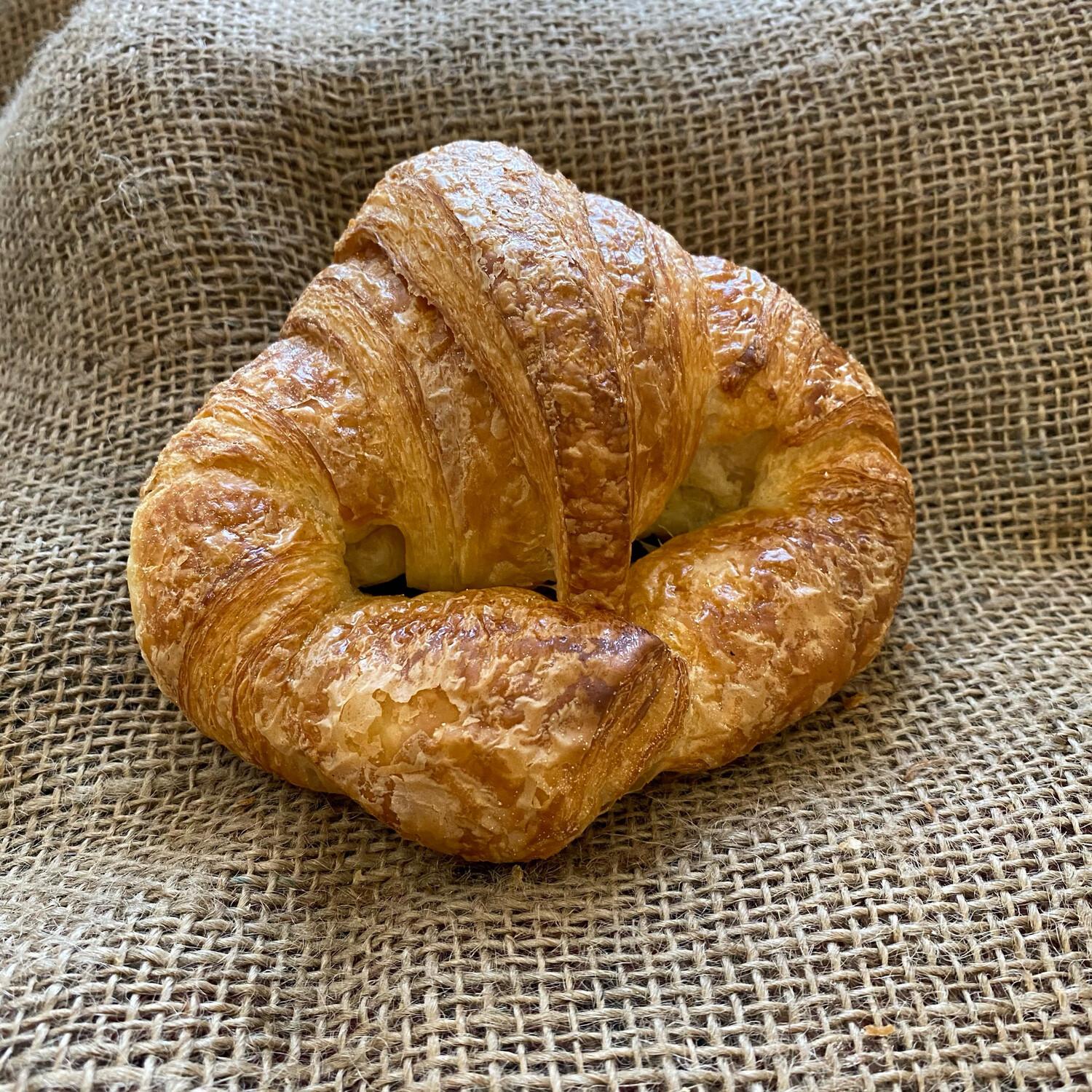 Iggy's Croissant Plain