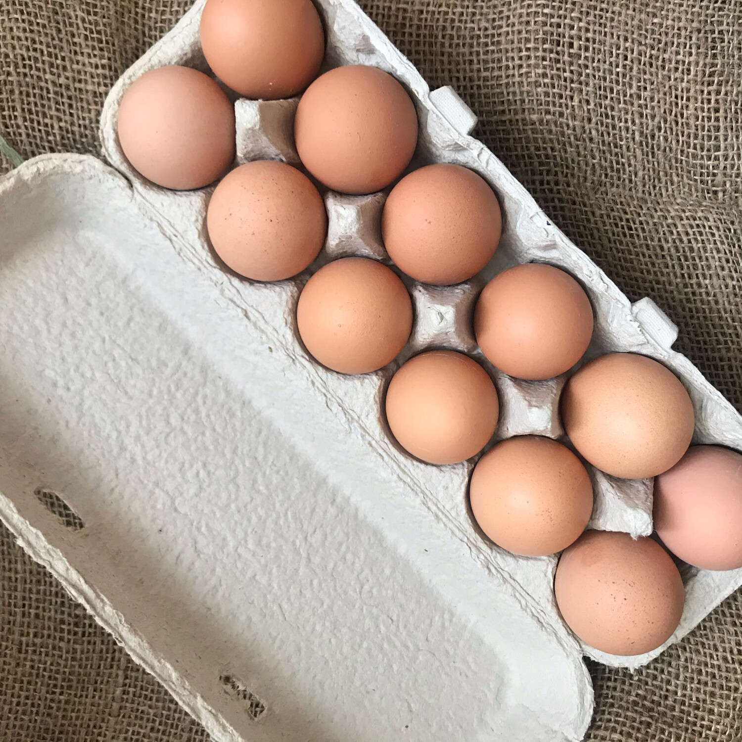 Eggs Featherbrook (Dozen)