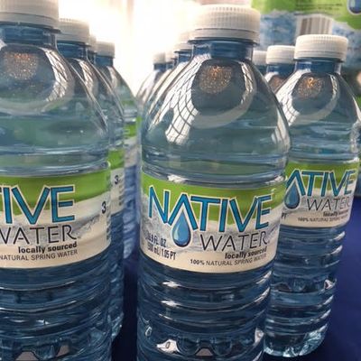 Native Waters, Still (500ml)