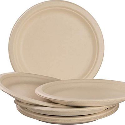 Disposable Tableware