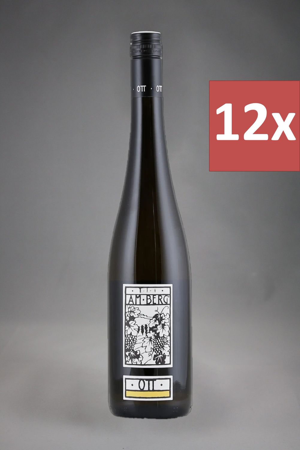 12 Fl. Bernhard Ott Grüner Veltliner am Berg 2025 (12,21 €/l)