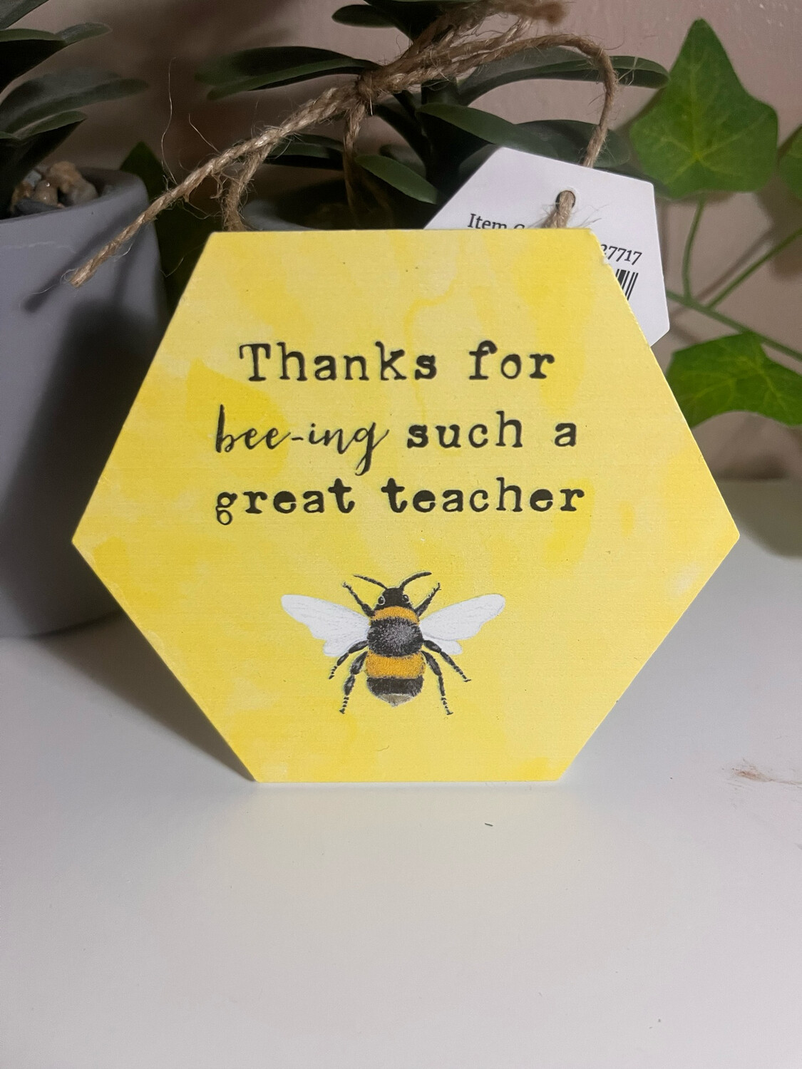 Teacher.. Wall Sign