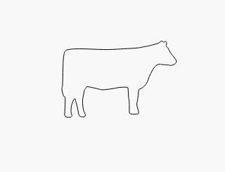 Cow Body Studs Earrings without hole