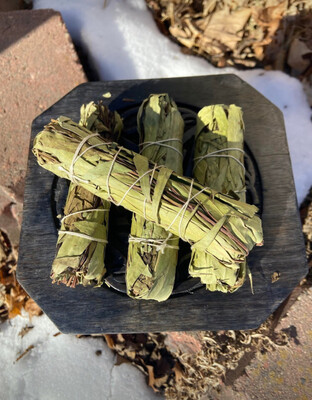 (3 Pack)Eucalyptus Herbs 5&quot;