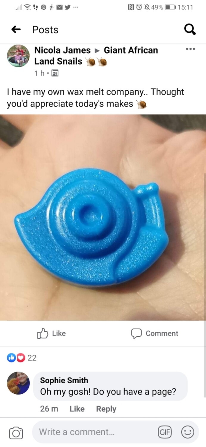 Lenor spring awakening inspired melts