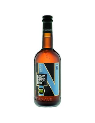B94 - November Ray - Pale Ale 4.5% 33cl