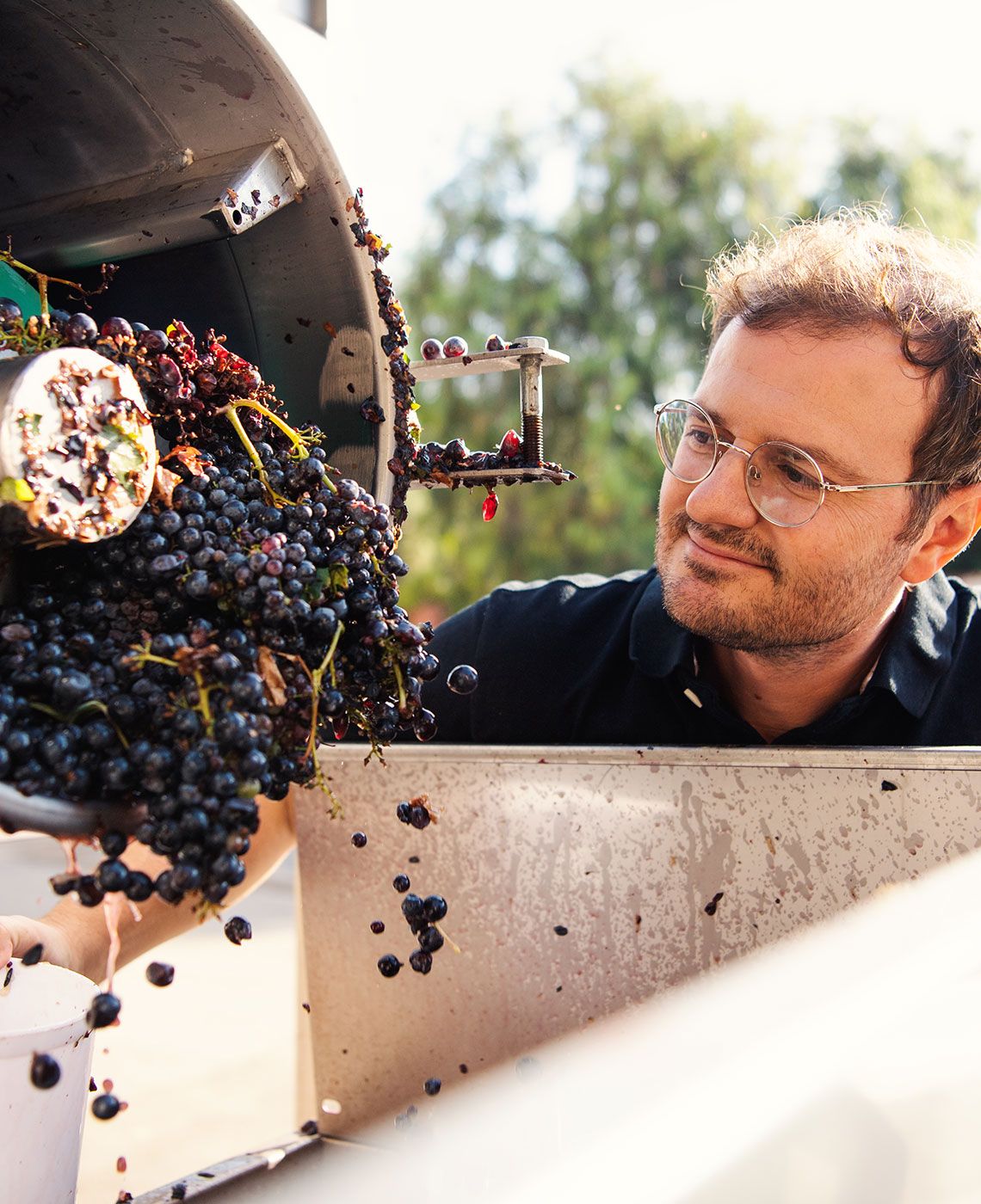 Tour and Wine Tasting Antica Enotria, 3 wines (including Sale Della Terra slow wine 2024) + local products