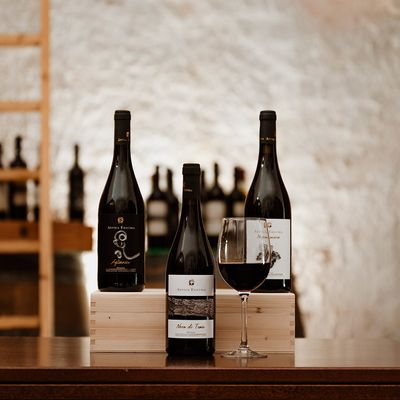 Antica Enotria, 3 wines (including Sale Della Terra Slow Wine 2024) + local products