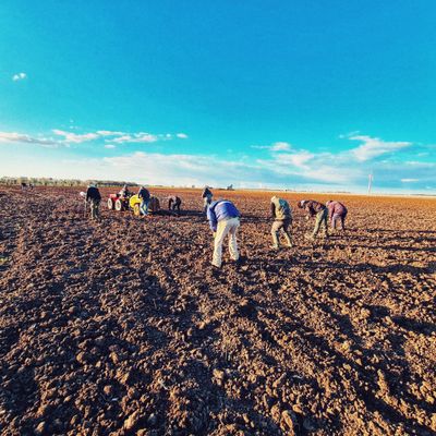 Marulli Vini, I Volti del Negroamaro Tour (Minimum 4 people)