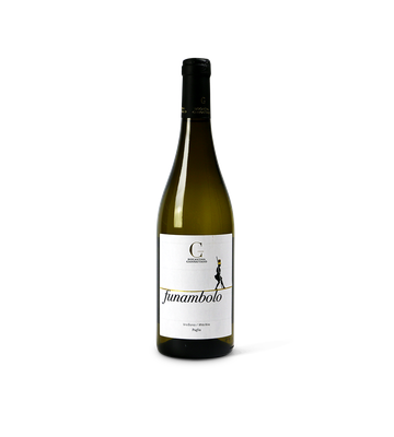Biocantina Giannattasio Funambolo Verdeca Puglia IGP