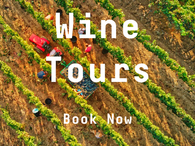 Wine Tours Pugliesi