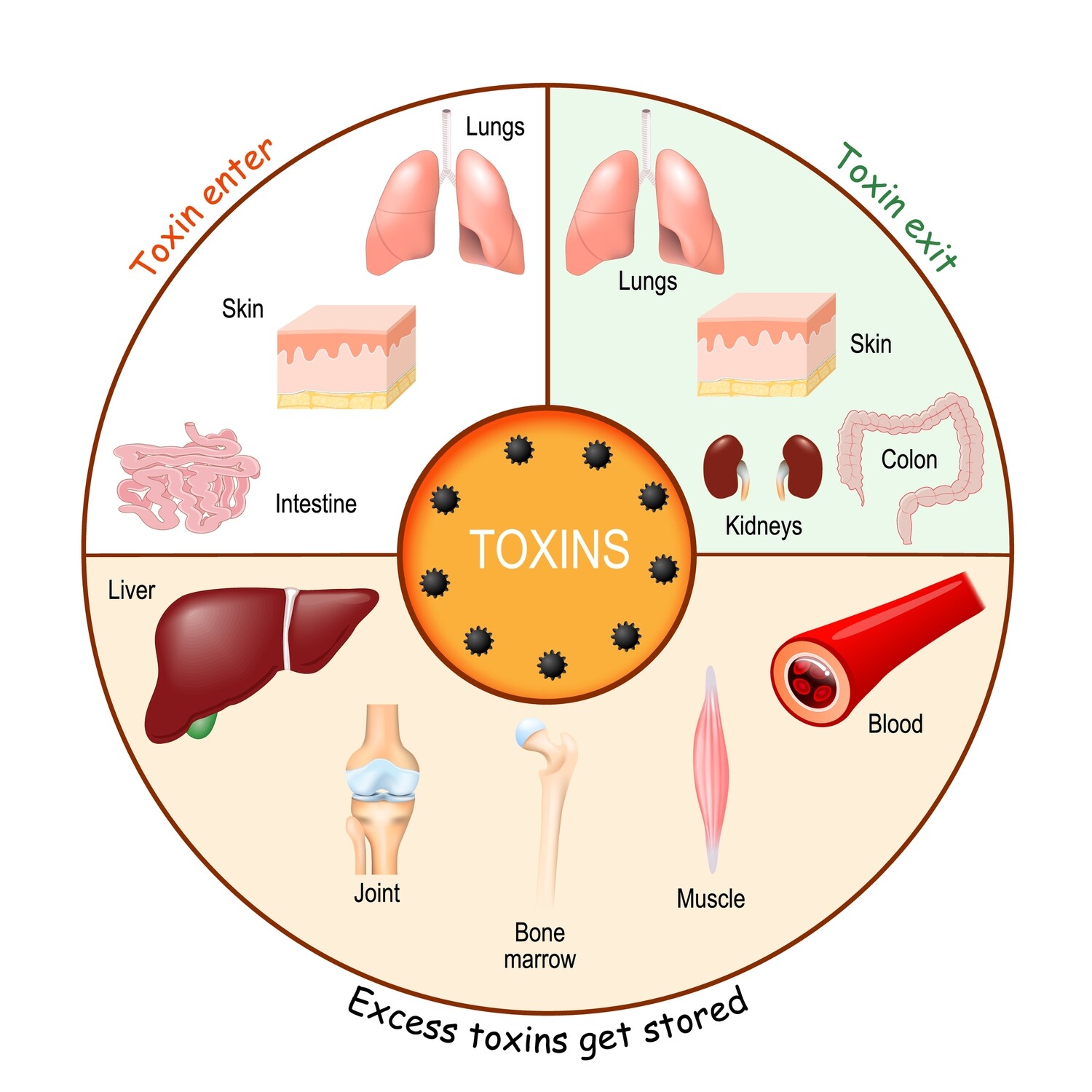 DETOXIFICATION MANUAL