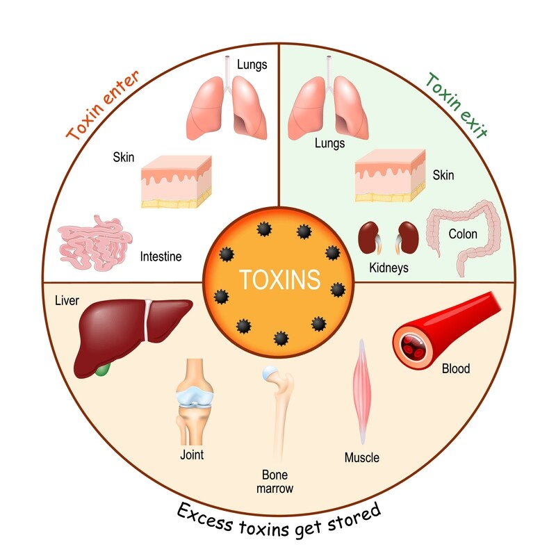 DETOXIFICATION MANUAL