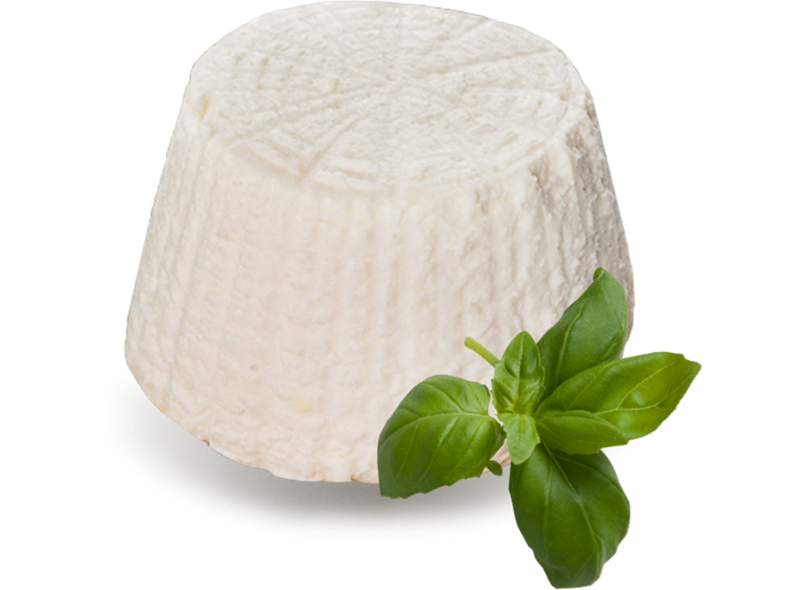 RICOTTA