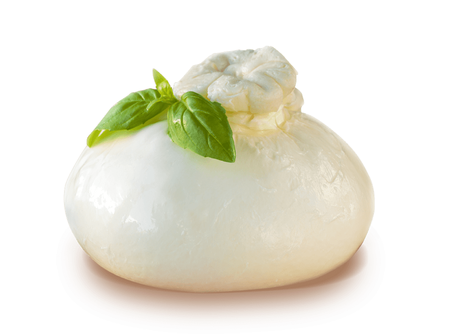 BURRATA