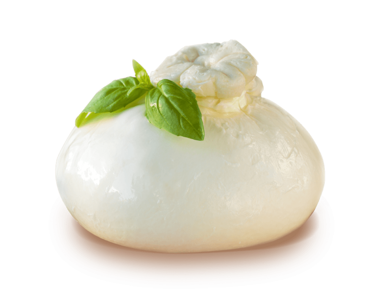 BURRATA