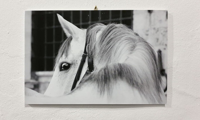 Pannello 30x45cm