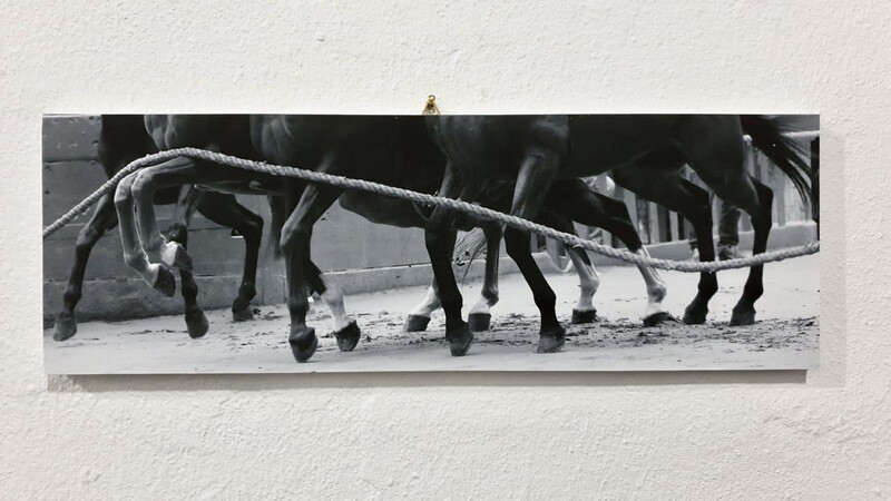 Pannello 15x45cm