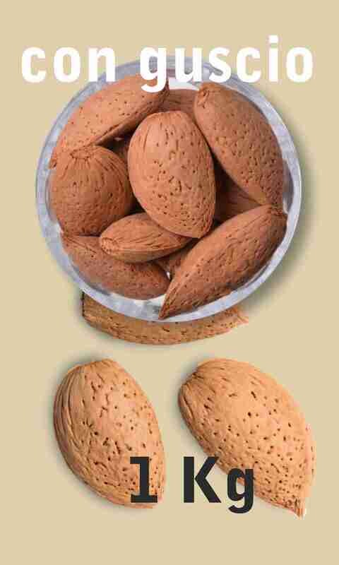 Mandorle CON guscio bio 1 kg