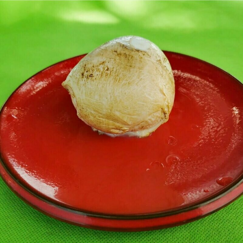 Mozzarella affumicata di Bufala Campana DOP 250g