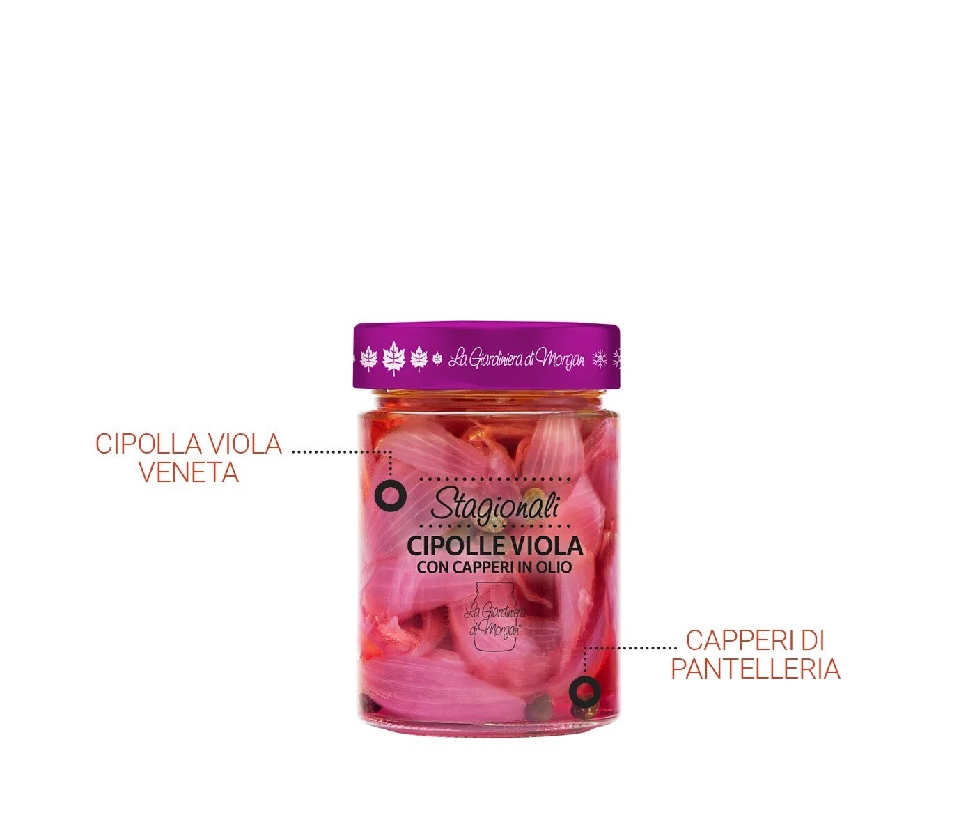 Cipolle Viola con Capperi in Olio 225g