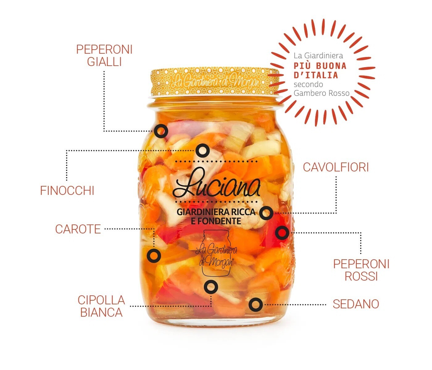 La Giardiniera di Luciana 550g