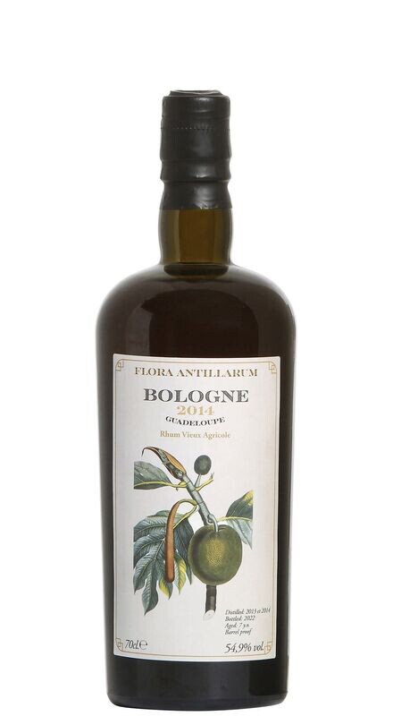 Flora Antillarum Bologne 7 Y.O 2014
