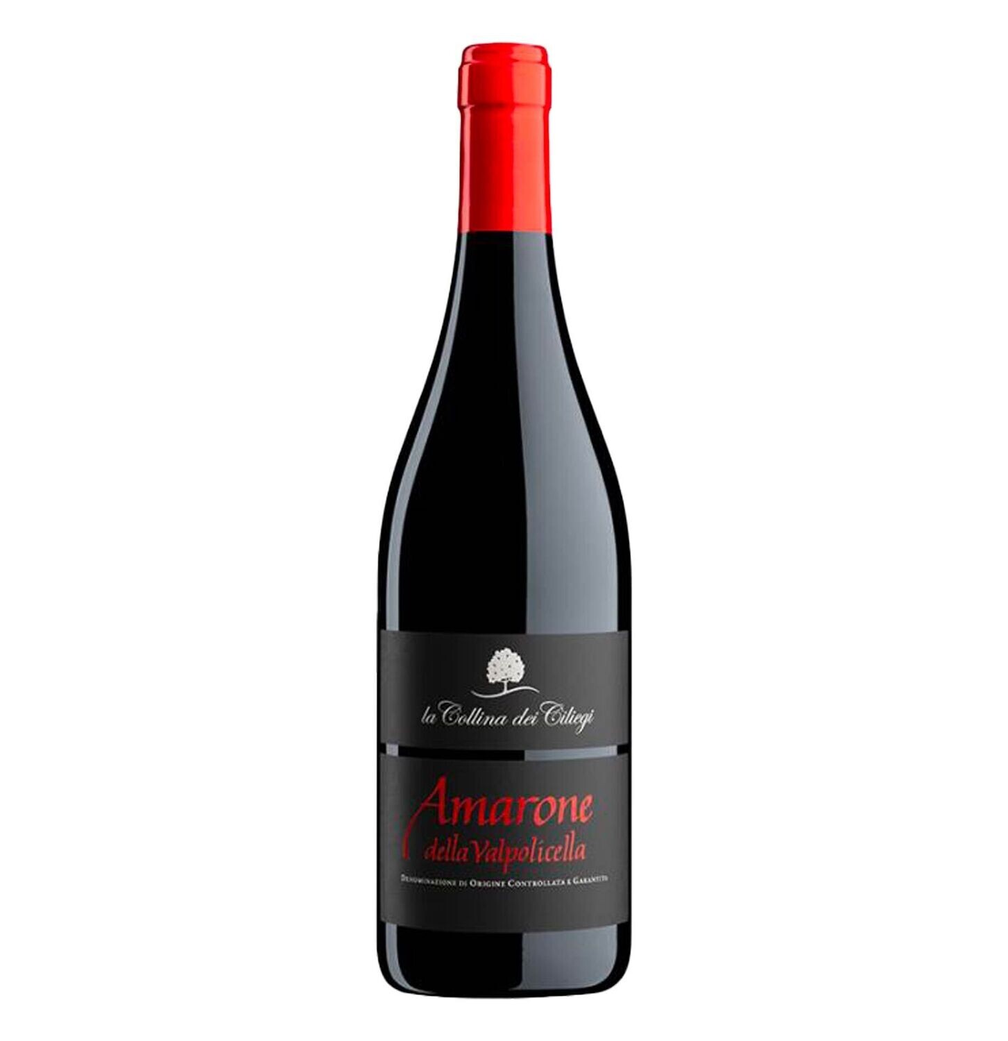 Amarone della Valpolicella DOCG 2019 La collina dei Ciliegi 2020 750 ML
