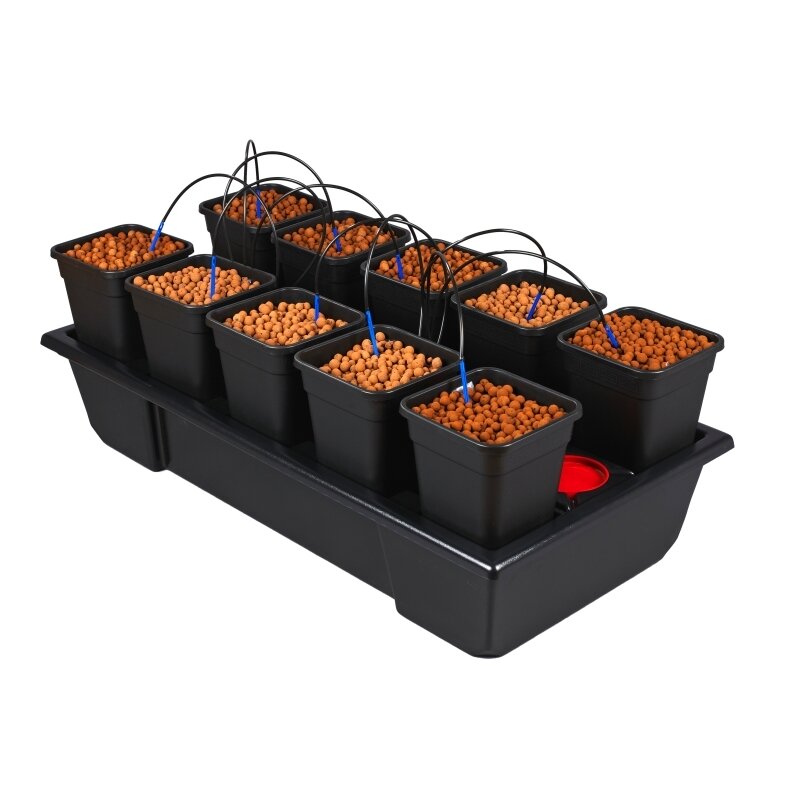 WILMA SMALL WIDE 10 (10 X 6L)