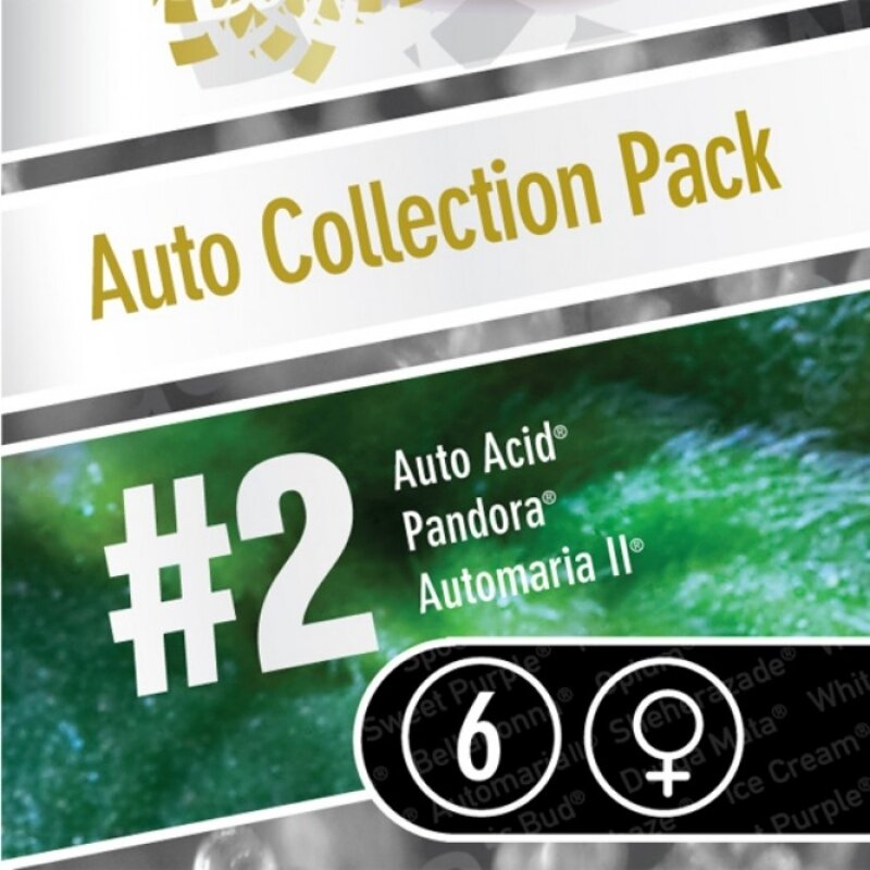6 UND FEM - AUTO COLLECTION PACK #2