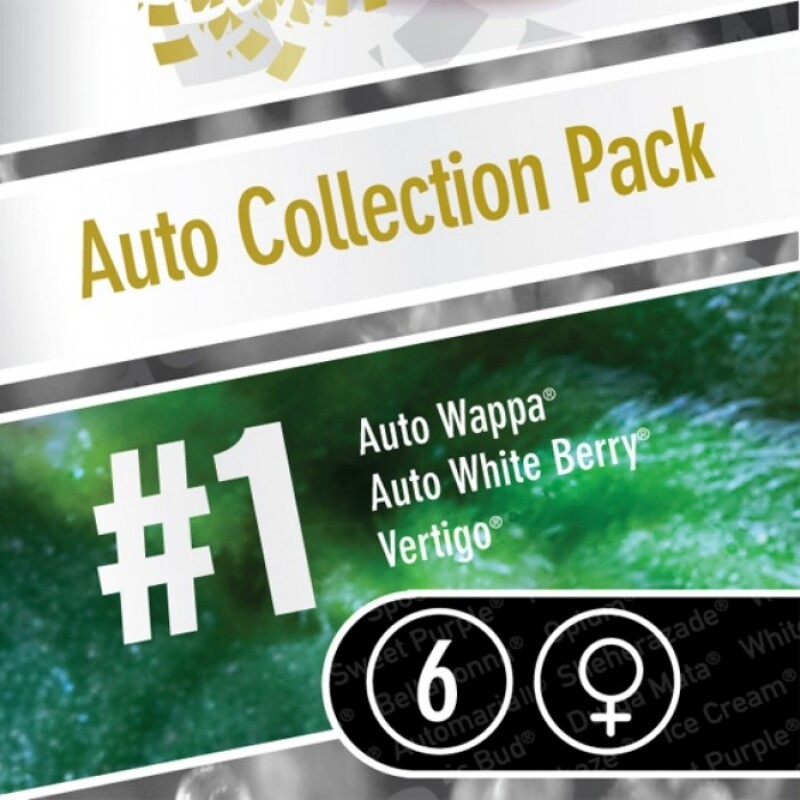 6 UND FEM - AUTO COLLECTION PACK #1