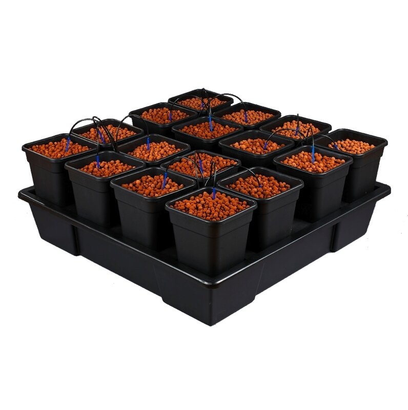 WILMA XXL 16 (16 X 11 L)