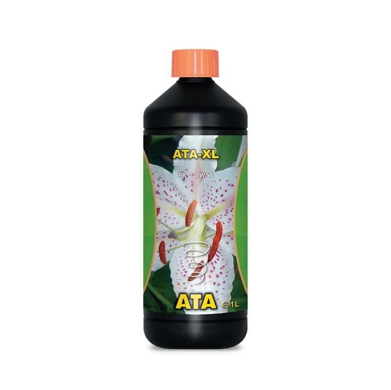 ATA - XL 1 L