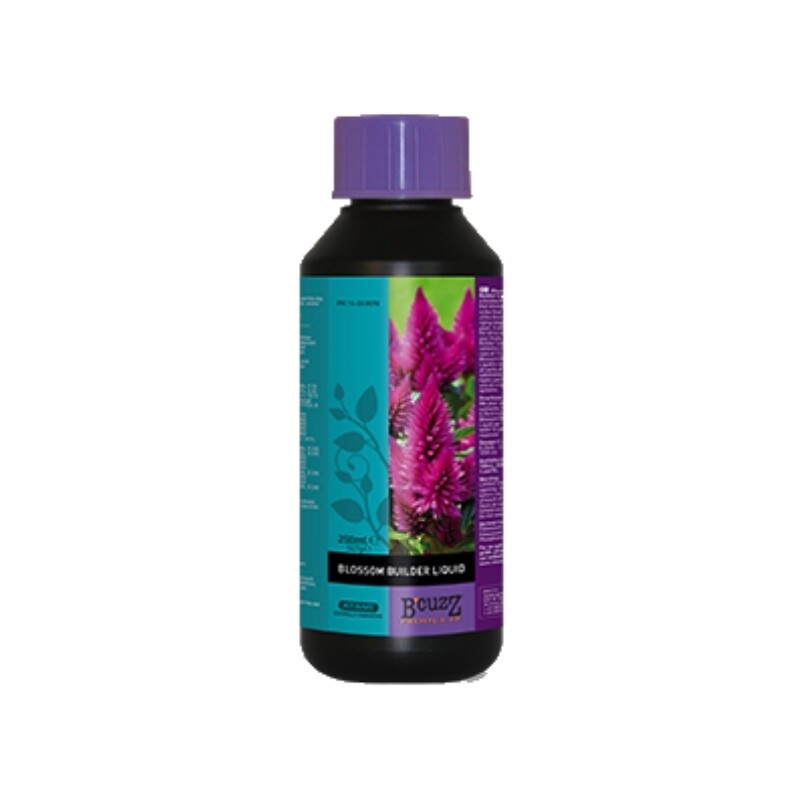 B'CUZZ BLOSSOM BUILDER LIQUID 250 ML
