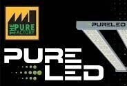 Pure Led