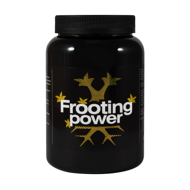 FROOTING POWER 1KG