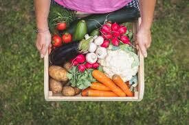 Fresh Farm Goods