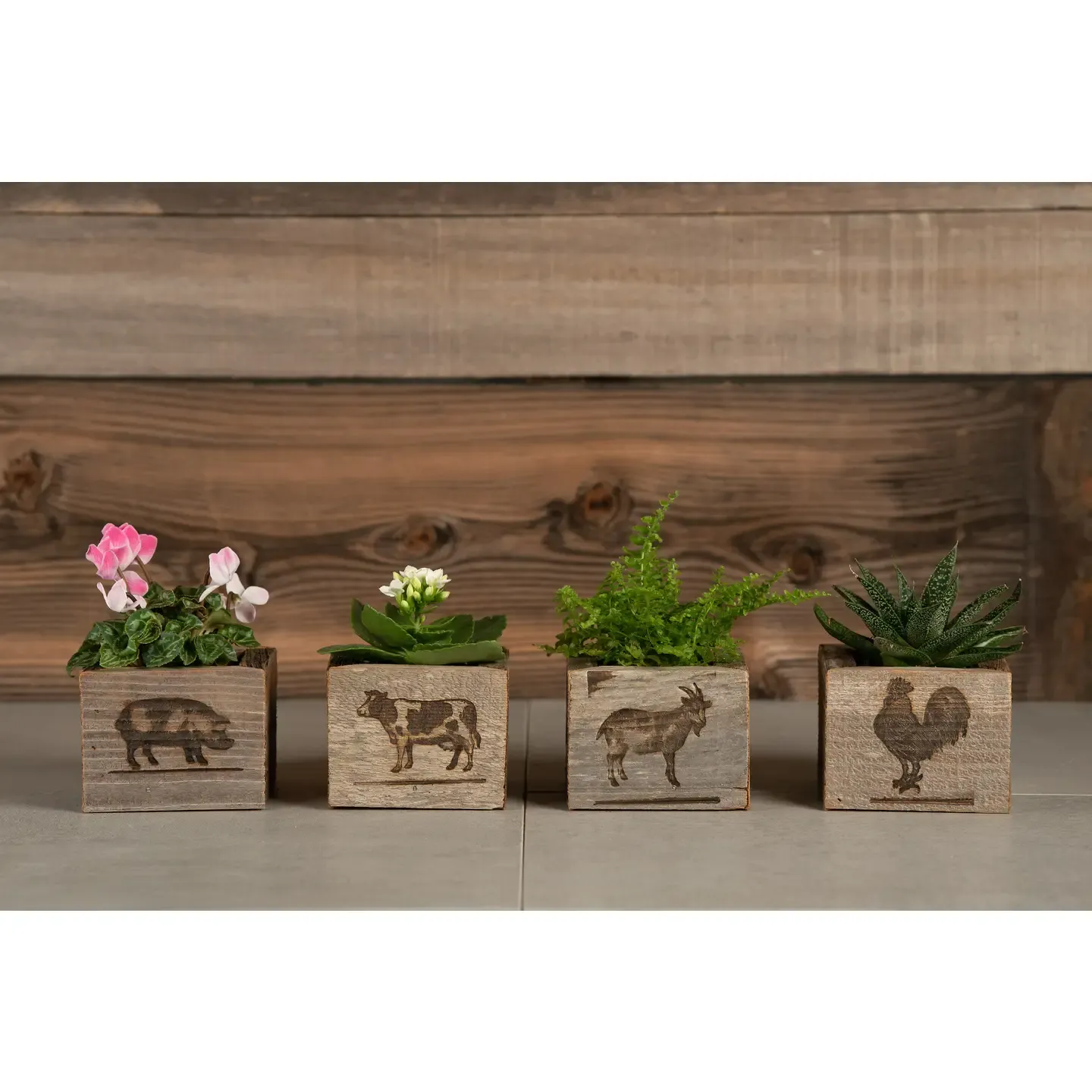 Barnwood Boxes (set of 4)