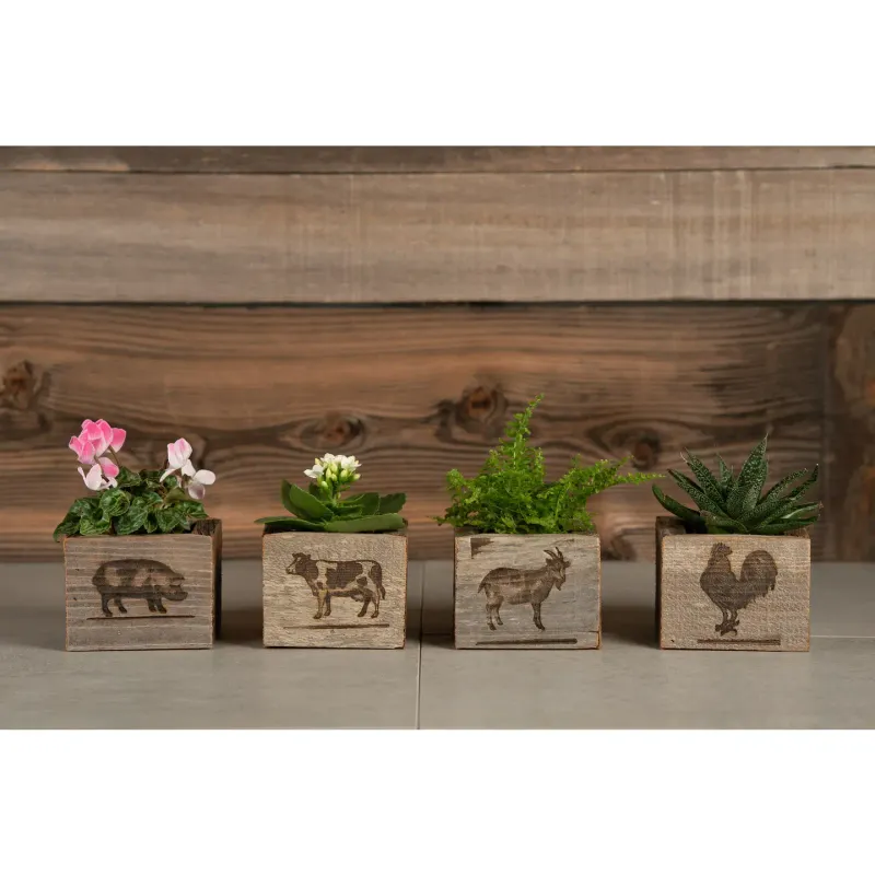 Barnwood Boxes (set of 4)