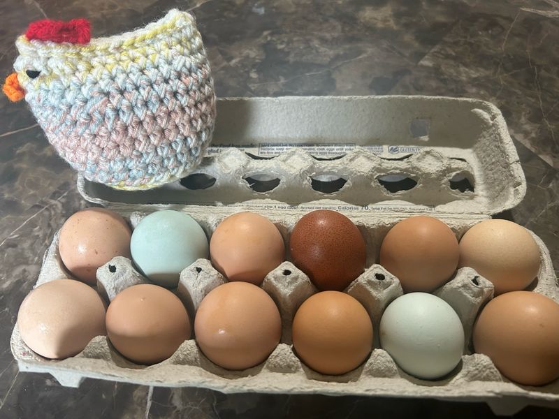 Farm Fresh chicken Eggs