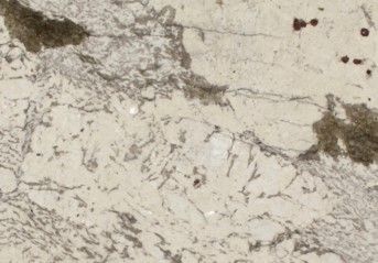 Alpinus- Granite