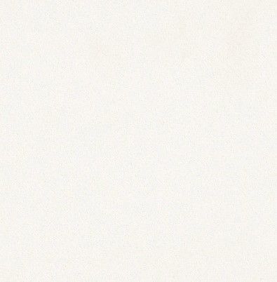 Arctic White- MSI Quartz