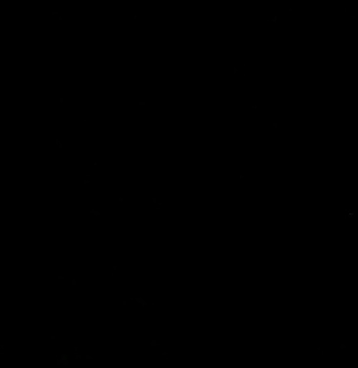 Absolute Black - Granite