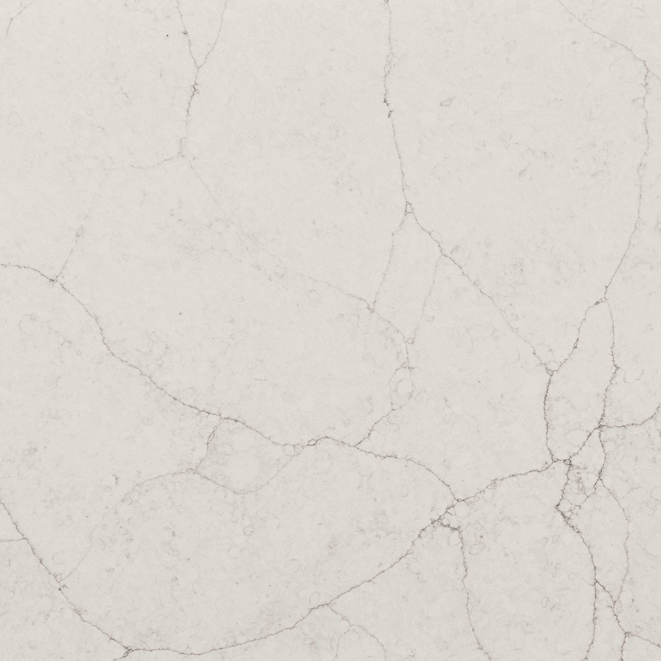 Calacatta Valentin - MSI Quartz