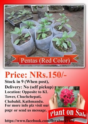 Pentas