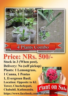 Combo Offer
