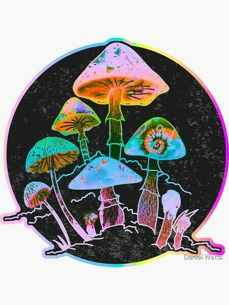 Premium Alpha Psychedelics