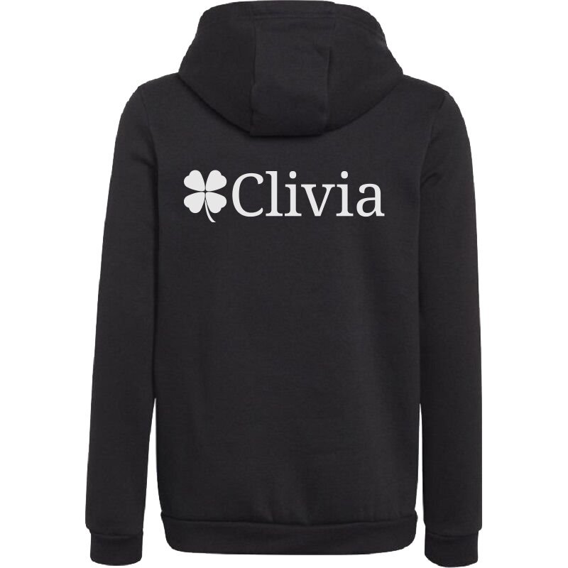 Adidas Entrada 22 Hoodie schwarz