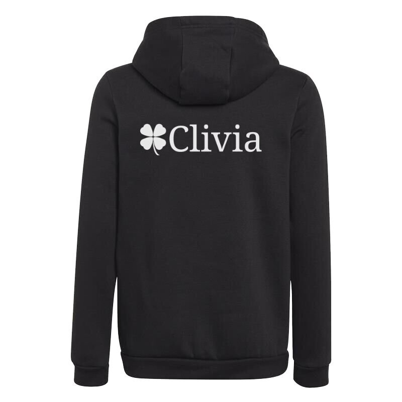 Adidas Entrada 22 Hoodie schwarz Kids